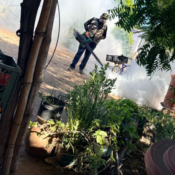 Salud Sonora registra cifra histórica en fumigación durante 2025